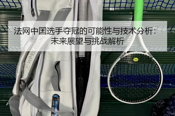 fa-wang-zhong-guo-xuan-shou-duo-guan-de-ke-neng-xing-yu-ji-shu-fen-xi-wei-lai-zhan-wang-yu-tiao-zhan-jie-xi-2-118.jpg
