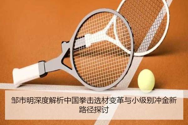 邹市明深度解析中国拳击选材变革与小级别冲金新路径探讨