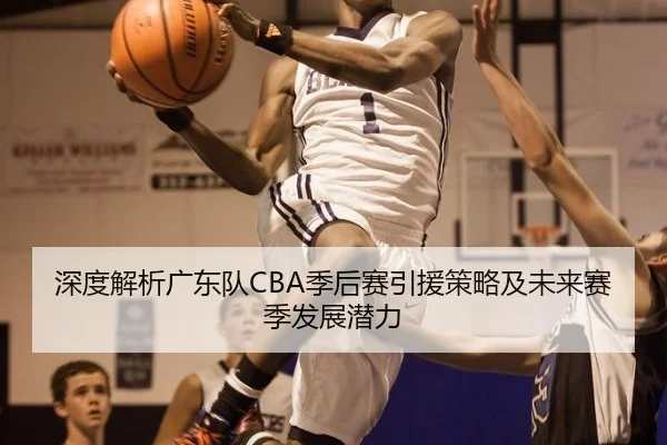 深度解析广东队CBA季后赛引援策略及未来赛季发展潜力