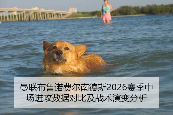 曼联布鲁诺费尔南德斯2026赛季中场进攻数据对比及战术演变分析